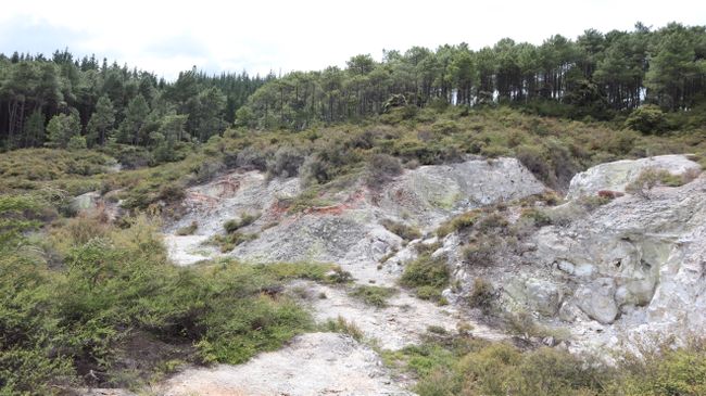 Tag 9 Wai-O-Tapu Thermal Wonderland