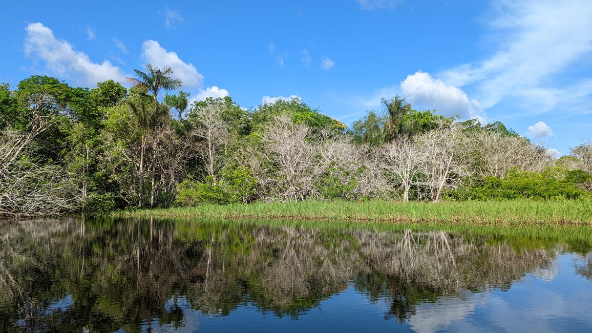2. Día en la selva amazónica