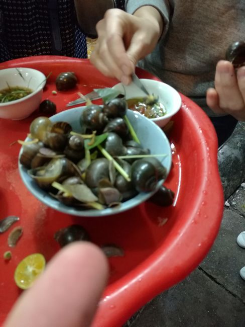 Cooked Snails