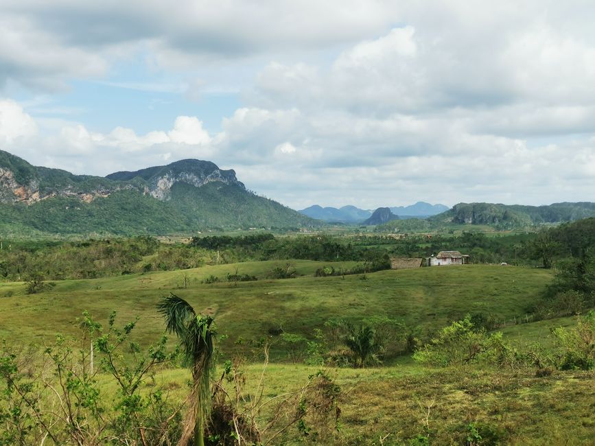 40, 41, 42일: 쿠바에서의 첫날과 비날레스의 아름다운 시골