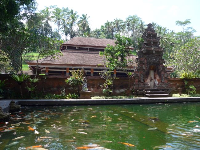 Felsentempel und spirituelle Reinigung (Bali Teil 6)