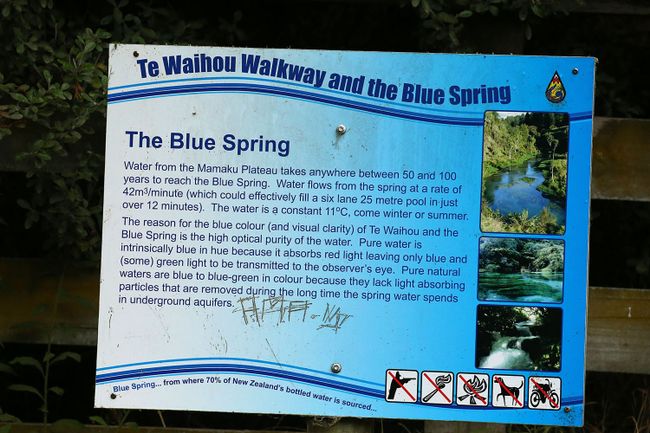 Day 23 - Rotorua - Blue Springs - Rugby