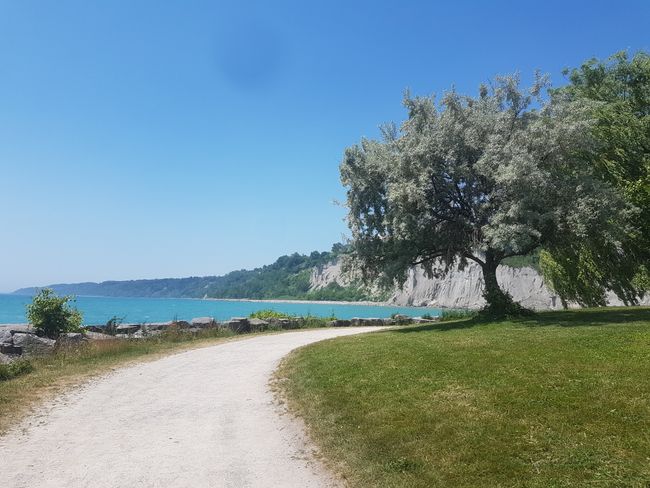 Bluffer's Park