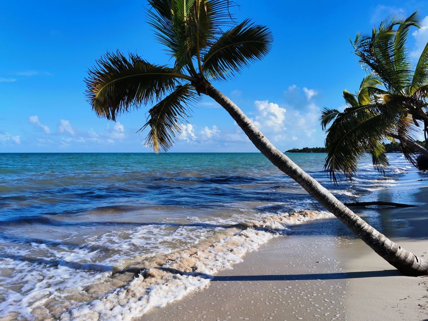 Karibik und Paradies?...