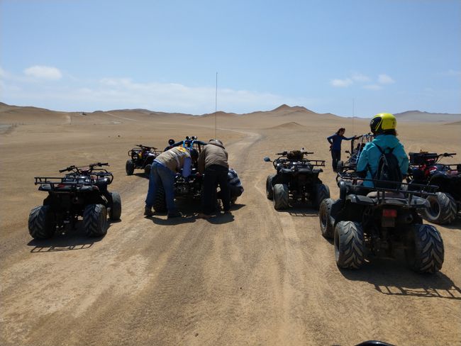 An exciting day in Paracas