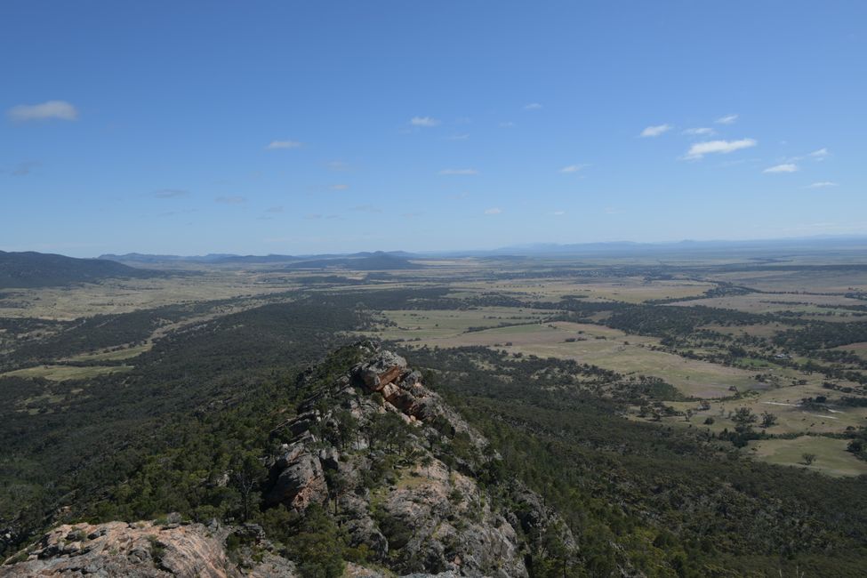 Flinders Ranges - Blick vom Devils Peak