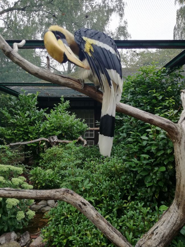 Tag 5: Nach dem Besuch des Weltvogelparks nur das "kleine" Abendmenü...