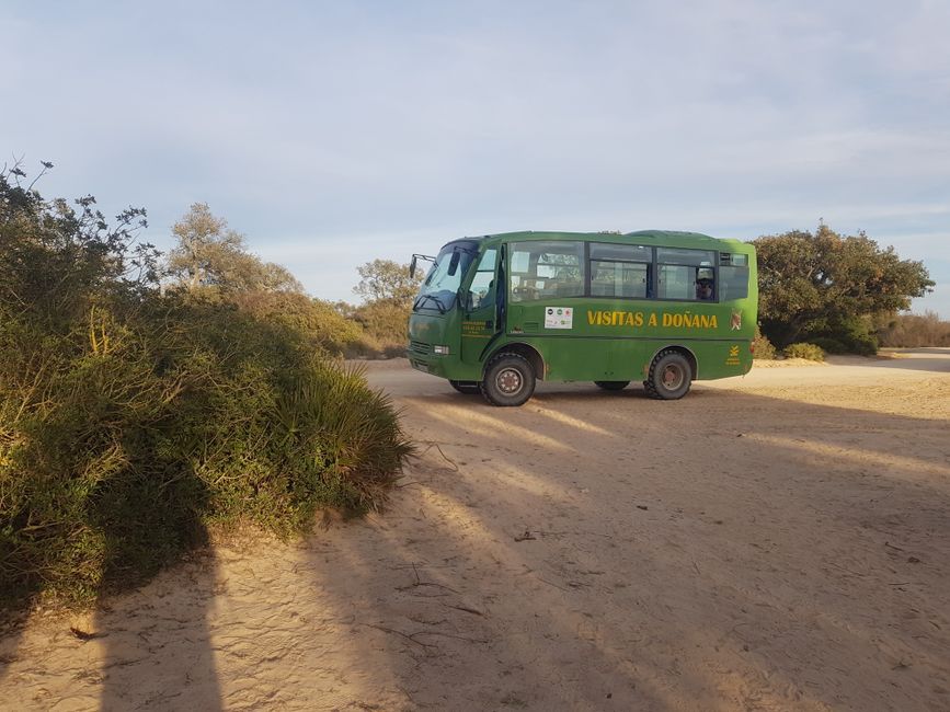 unser Offroadbus