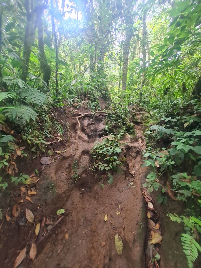 Path to Cerro Chato