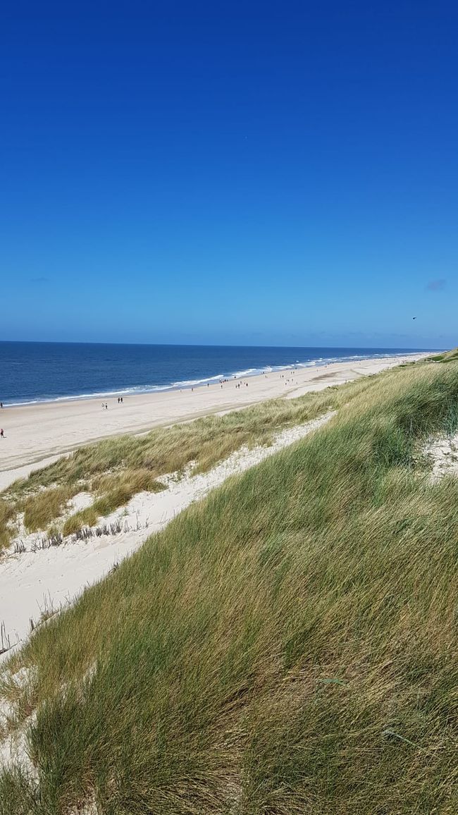 Have a great time in Sylt!