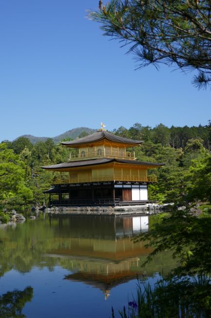 The Golden Pavilion Kinkaku-ji