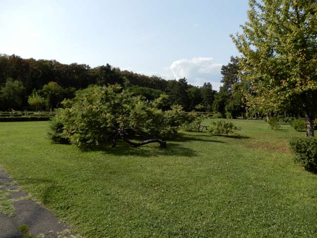 Camping Casa Alba