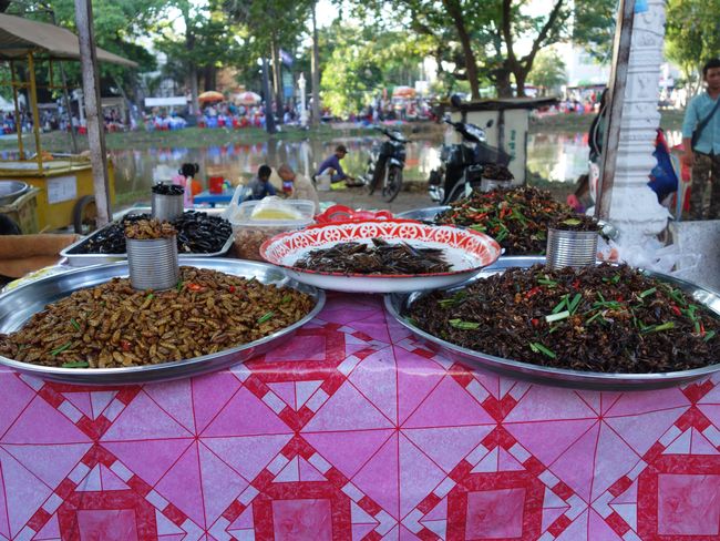 Food stalls with various insects - at the market during the Festival of Lights - for the locals of course