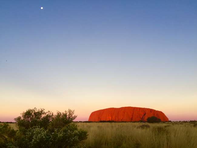 Teil 1: Uluru - in the middle of nowhere ...