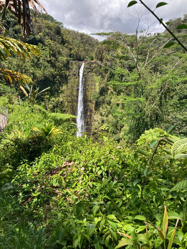 Akaka Falls & Kahuna Falls
