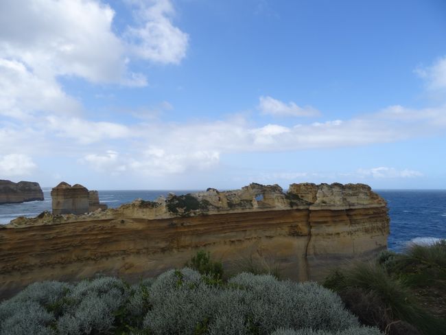 From the Great Ocean Road, magnificent nature... and venomous snakes🐍