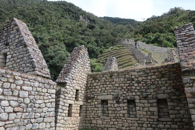 Wiñay Wayna ruins (forever young)