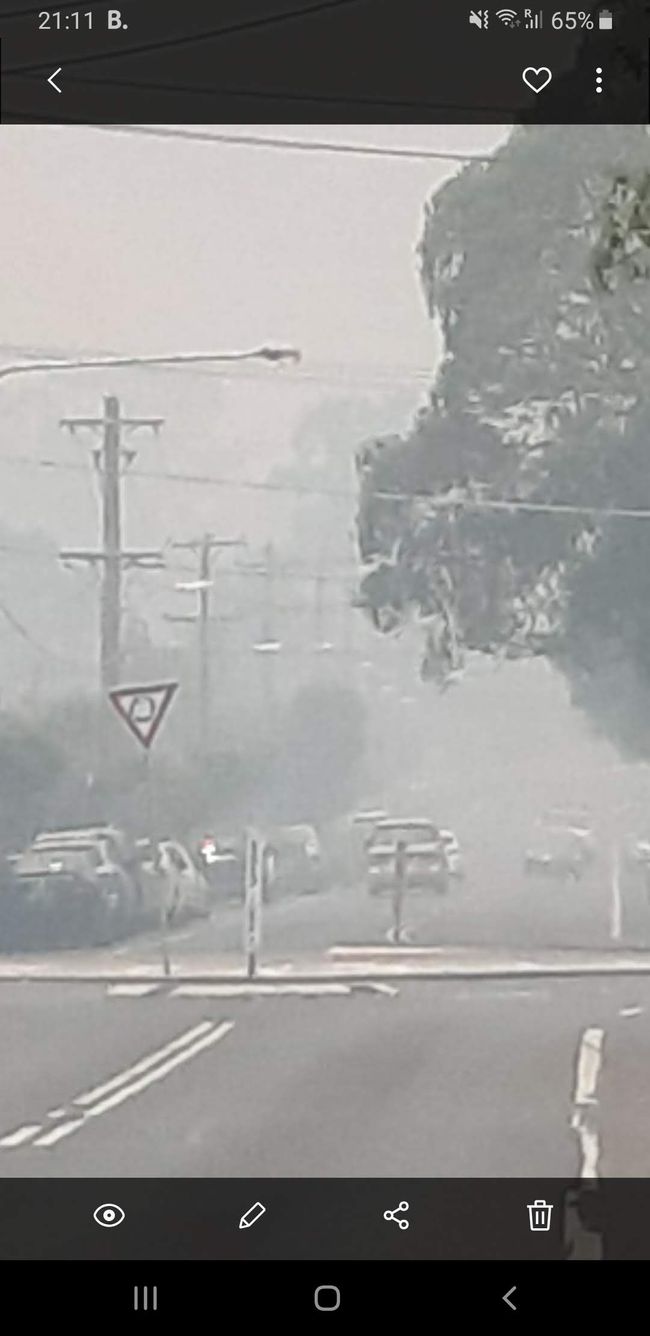 Buschbrände - Rauchschwaden mitten in Sydney