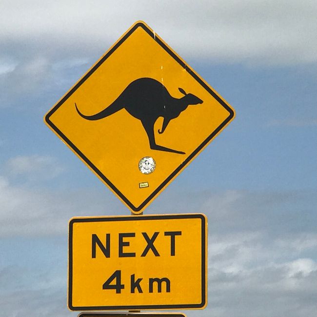 Goodbye Great Ocean Road and Hello Kangaroo Island