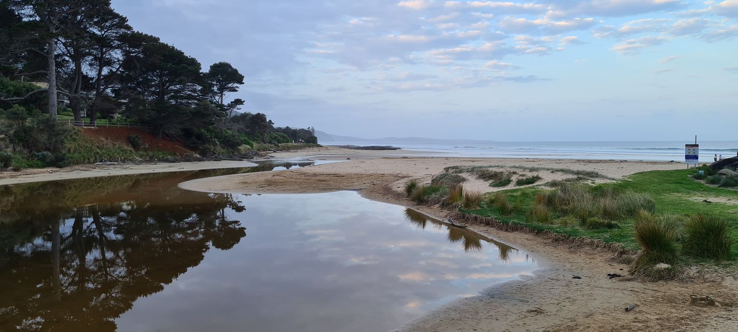 Tag 8 - Start in die Great Ocean Tour