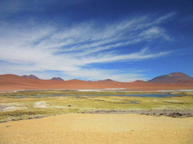 Up to the Altiplano