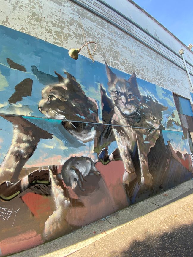 Street Art in Newtown