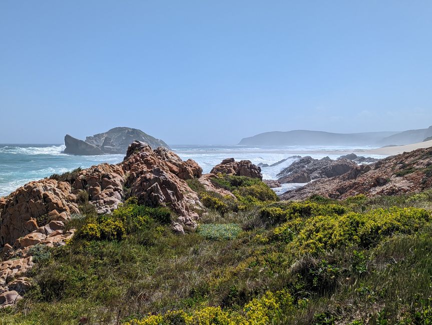 Plettenberg Bay/Robberg Nature Reserve