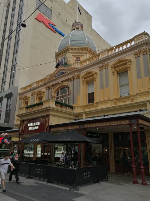 Adelaide (SA)