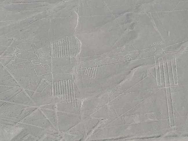 Nazca-Lines