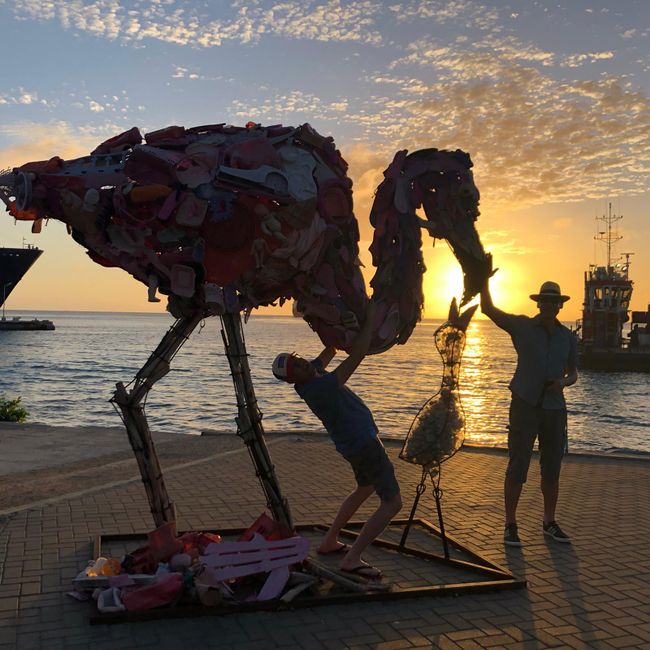 Flamingo komplett aus Kunstoffabfall vom Strand gebaut..
