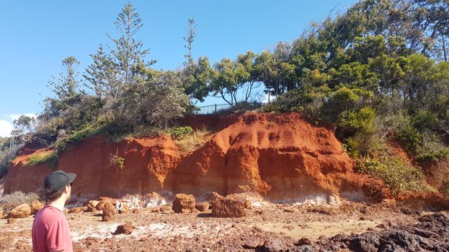 rote Felsen bei Redcliffe