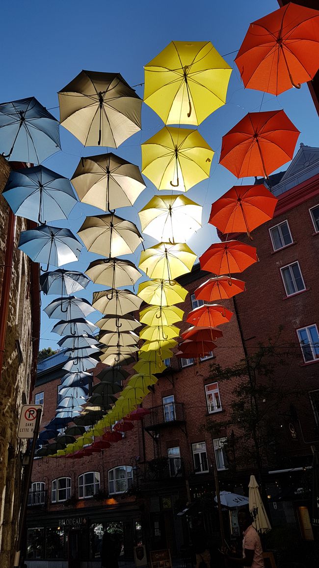 Sonnen- oder Regenschirme?