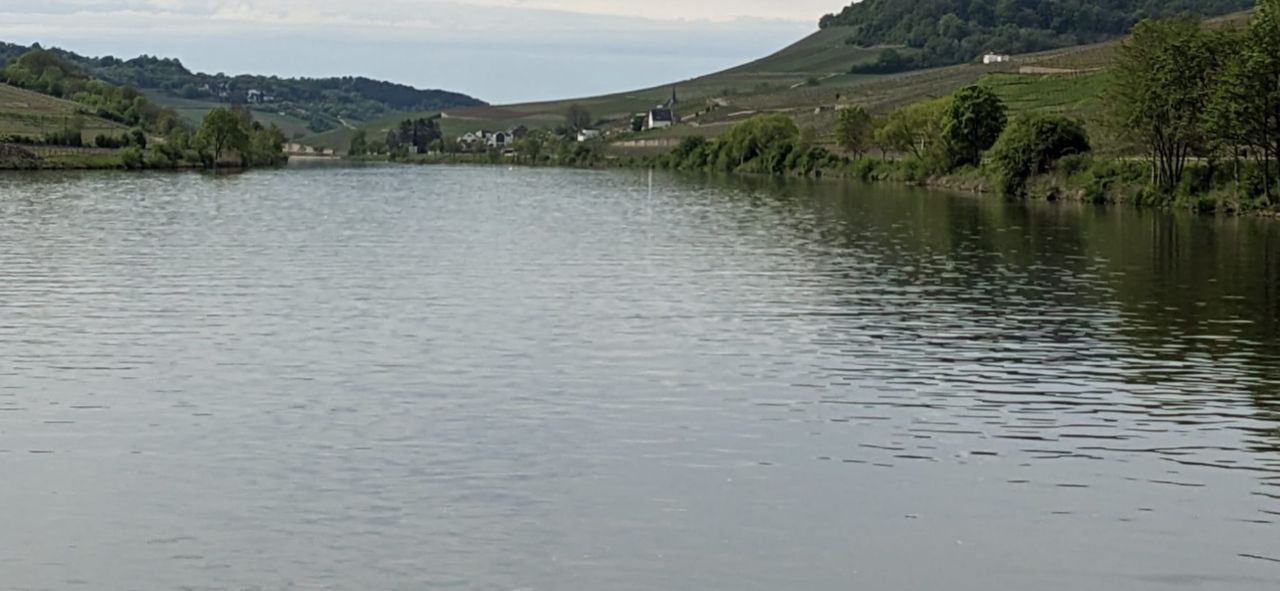 The Moselle