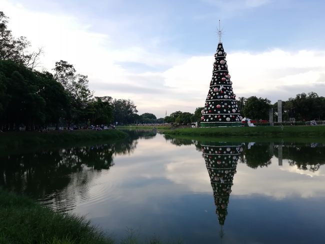 Weihnachtsbaum im Park Ibirapuera