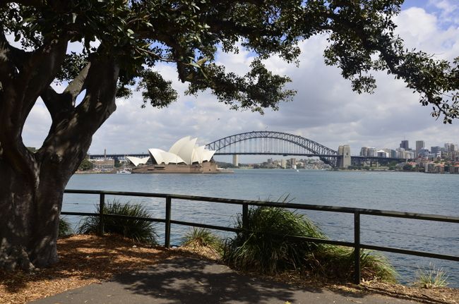 Oper und Harbour Bridge in Sydney
