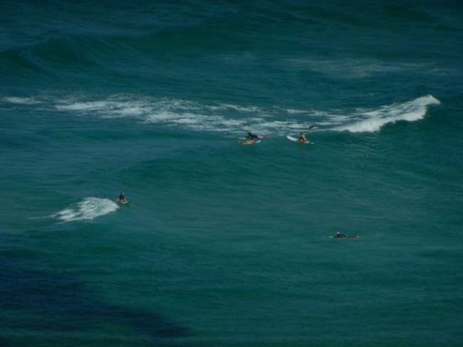 surfer in Byron Bay