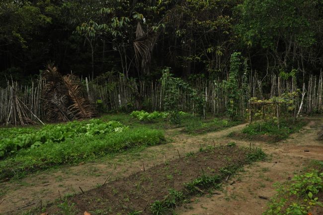 An die Schule ist auch eine kleiner Kräutergarten angeschlossen, in dem die Kinder mit ihre Umwelt vertraut gemacht werden