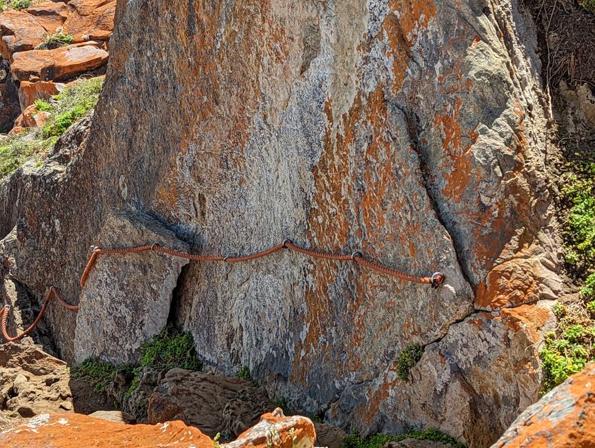 Plettenberg Bay/Robberg Nature Reserve