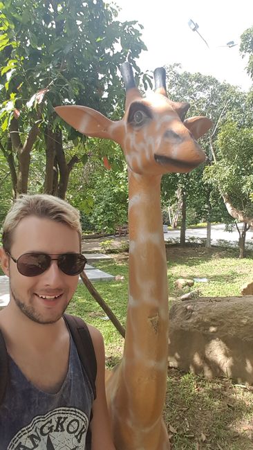 Well, I'm not as tall as a giraffe yet.