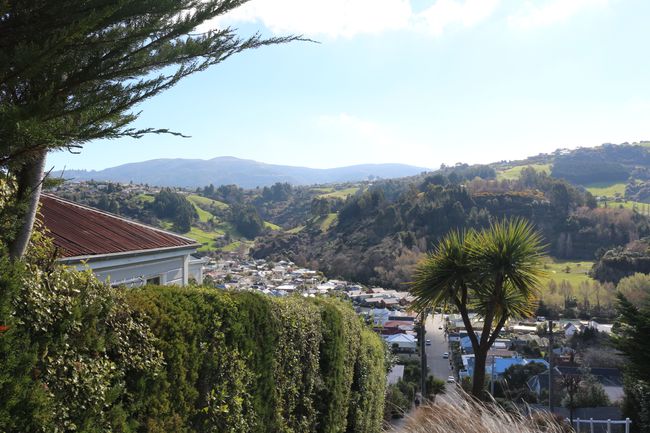 Ein kultureller Ausflug nach Dunedin und ein natuerliches Abenteuer vor Oamaru