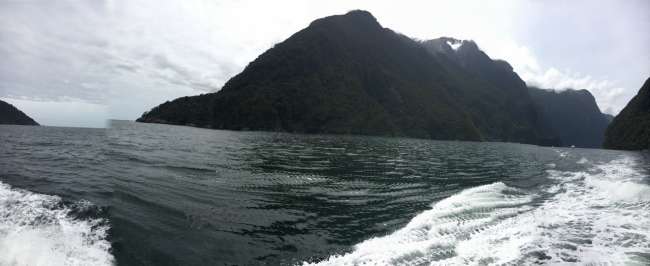 On Milford Sound