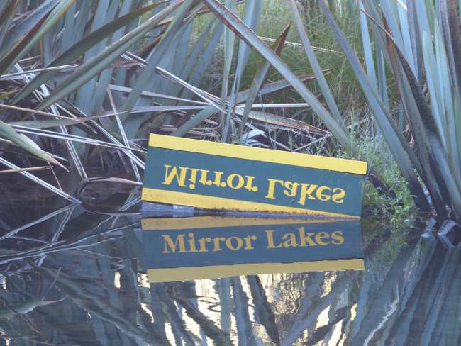 Sign in mirrored writing - Kiwis are funny