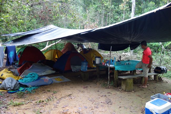 Tent camp with jungle view