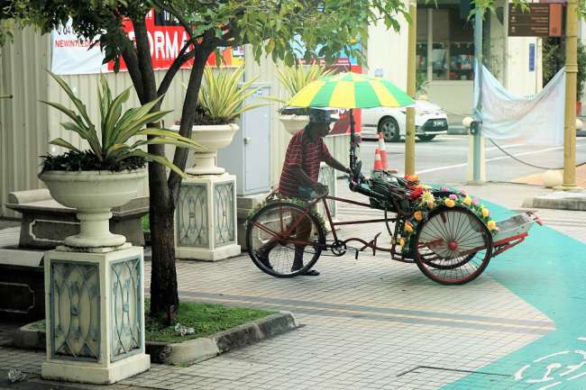 Fahrradrikscha- das typische Verkehrsmittel in Penand