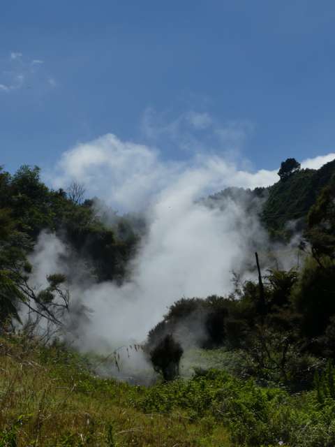 Steam rising from the boiling hot spring