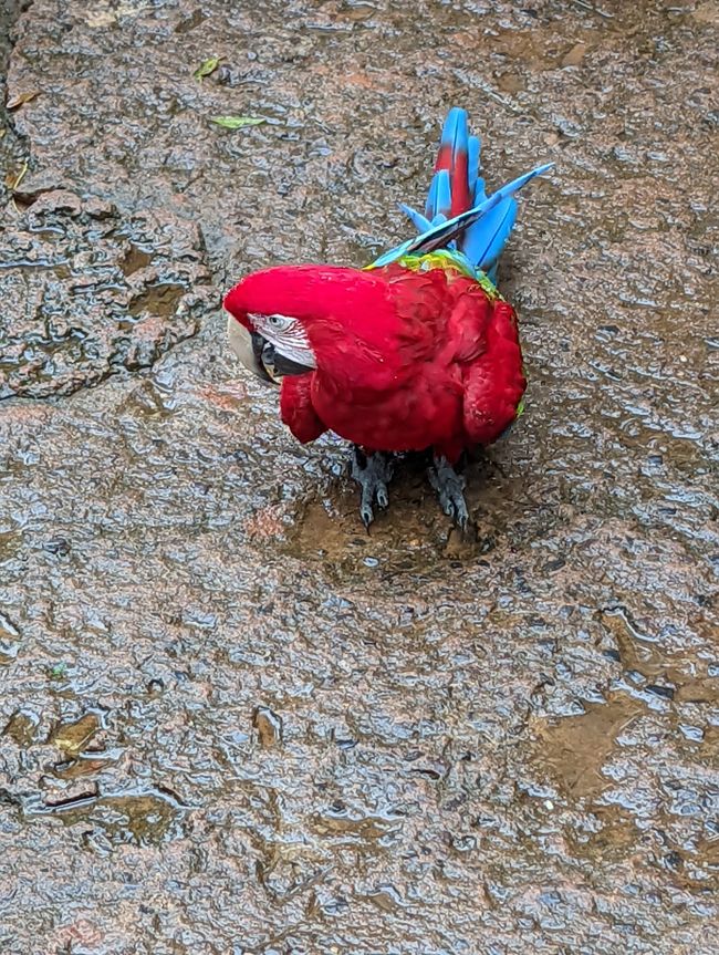 07.06.2022 - Vogelpark und Wasserfälle