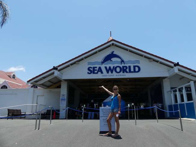 Welcome to Seaworld!