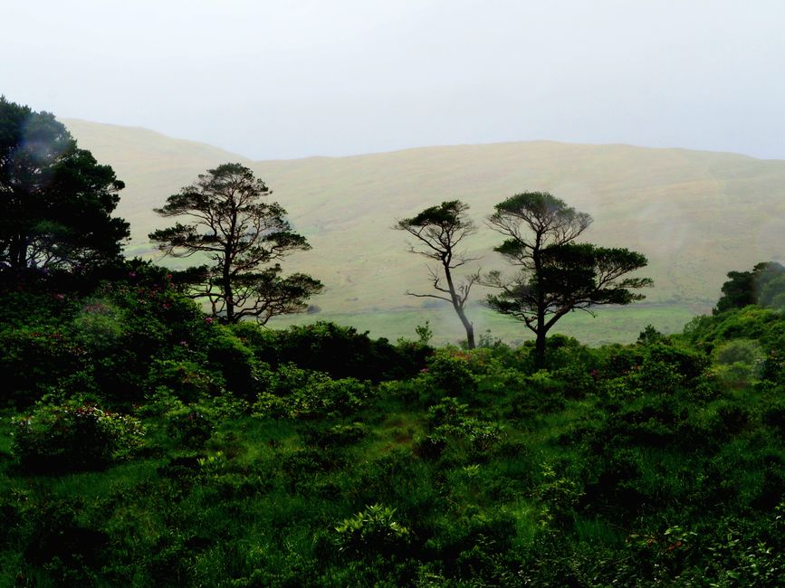 Connemara National Park, Kylemore Abbey and lots of rain on the way to Achill Island