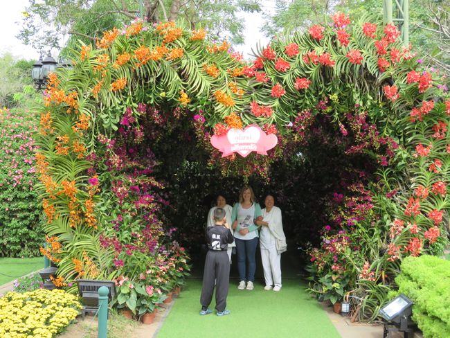 Orchideen-Tunnel auf dem Flower Festival und chinesische Omas...