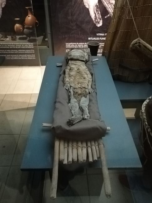 Mumien von Arica